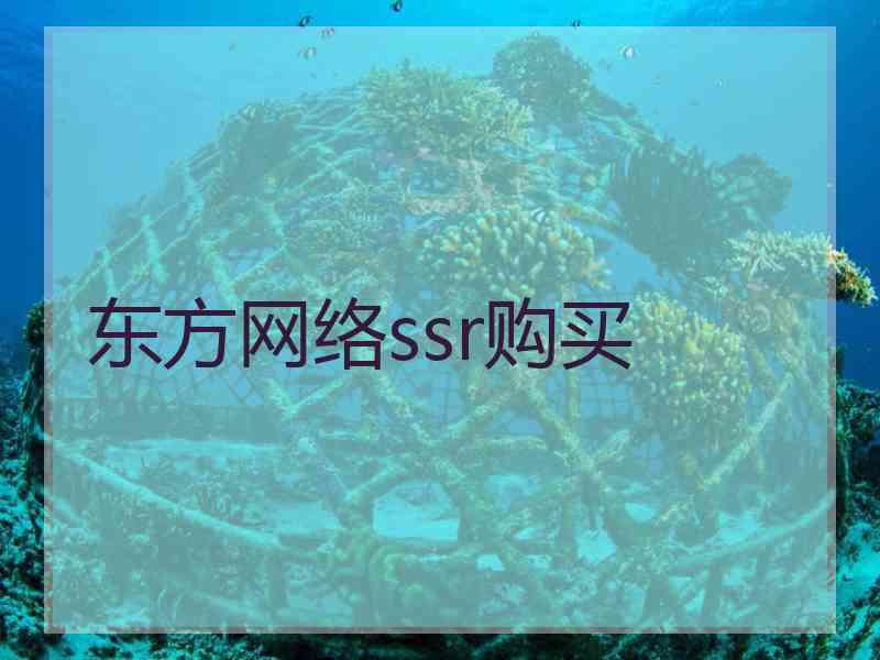 东方网络ssr购买